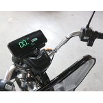 Electric Tricycle Manufacturer - OEM/ODM 2025 3-wheel 800w High-power Cargo