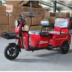 Electric Tricycle Manufacturer - China Wholesales New Model 48V 600W