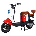 Electric City Bike Manufacturer - OEM/ODM 48V 350W Long Range ODM/OEM Road