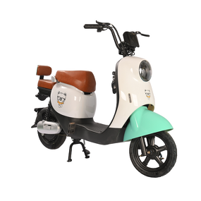Electric City Bike Manufacturer - OEM/ODM 48V 350W Long Range ODM/OEM Road