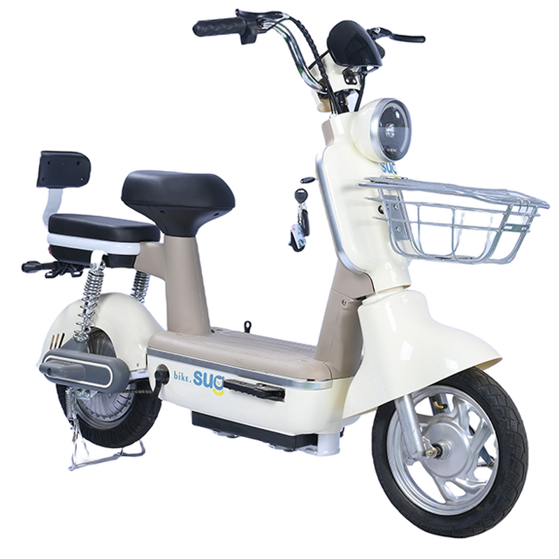 Electric Bike Manufacturer - OEM/ODM 2024 Two Lightweight Stock Direct Sales