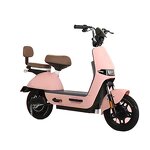 Electric Bike Manufacturer - Wholesale High Quality Front Fork 2025 Fashion