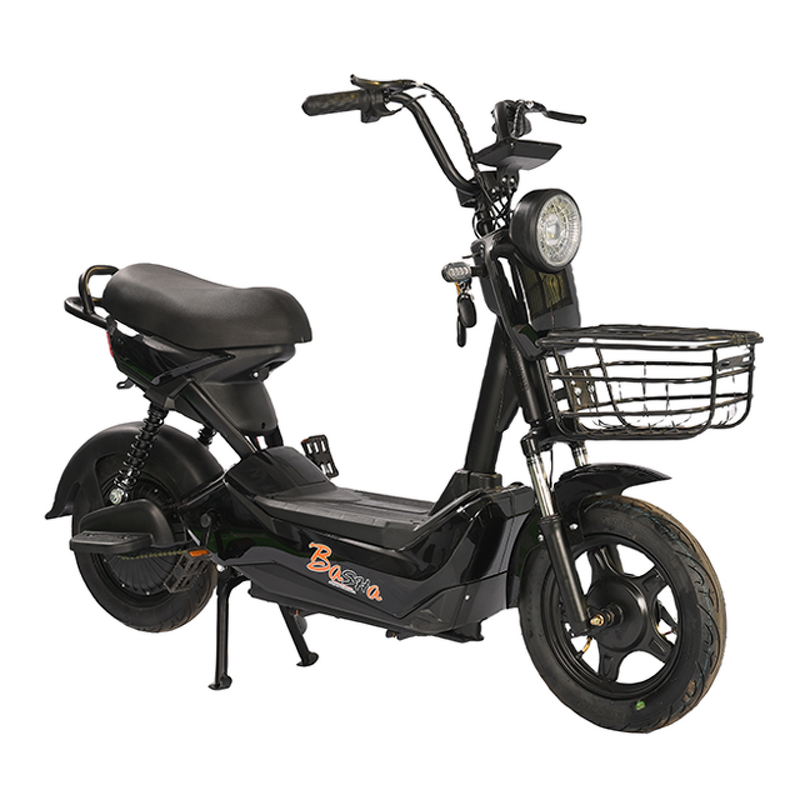 Electric Bicycle Manufacturer - OEM/ODM Bicicleta Electrica Para Adultos