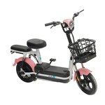 Electric Bicycle Manufacturer - Factory Direct Sales 350w Customizable Color