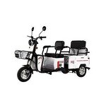 Delivery Electric Tricycle Manufacturer - OEM/ODM 48V 20Ah 800W Brushless