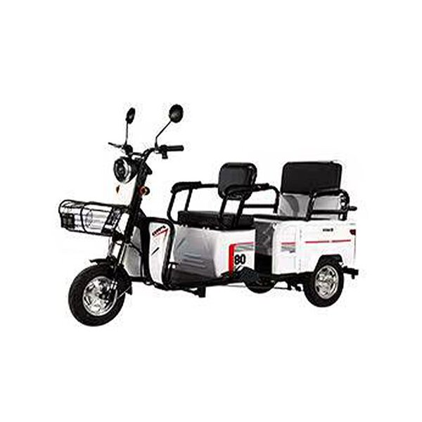 Delivery Electric Tricycle Manufacturer - OEM/ODM 48V 20Ah 800W Brushless