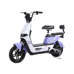 Electric Scooter Manufacturer - Factory New 2-wheeled 48V 350W Urban