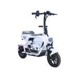 Electric Scooter Manufacturer - OEM/ODM High Quality 350W Lithium Battery