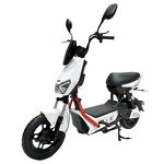 Electric Bicycle Manufacturer - OEM/ODM 500w Adult 2-wheel with Lead-acid