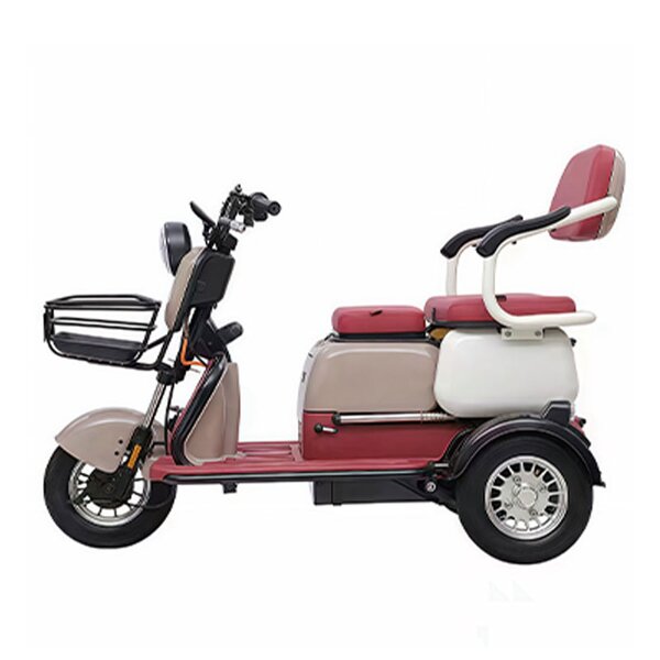 Electric City Bike Manufacturer - OEM/ODM Adults 48V 20Ah 600W Mid Drive