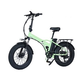 Folding Electric Bicycle Manufacturer - OEM/ODM 500W 20-inch Three-speed