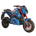 Electric Motorcycle Manufacturer - Factory Direct Sales 1000w Two-wheel