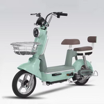 Electric Bike Manufacturer - OEM/ODM 2024 Cheap City Leisure Two Wheeled