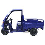 Electric Tricycle Manufacturer - Factory Direct Sale 1000W Cargo Handling