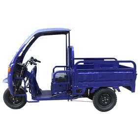 Electric Tricycle Manufacturer - Factory Direct Sale 1000W Cargo Handling