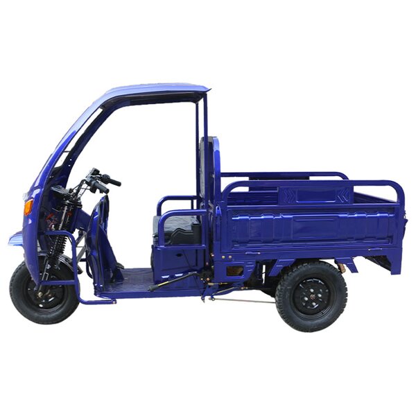 Electric Tricycle Manufacturer - Factory Direct Sale 1000W Cargo Handling