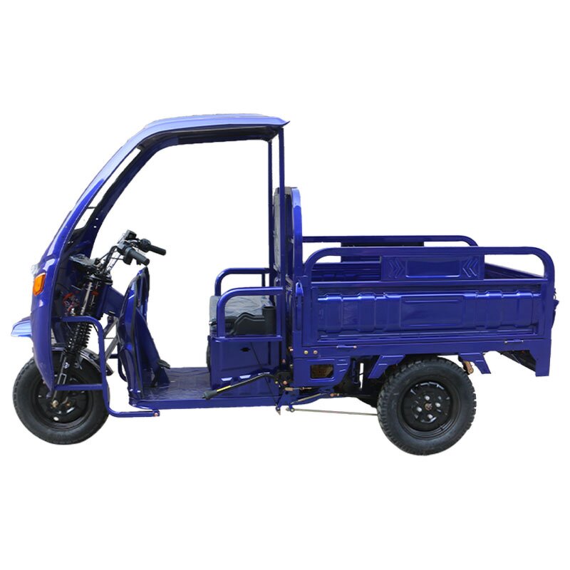 Electric Tricycle Manufacturer - Factory Direct Sale 1000W Cargo Handling