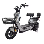 Electric Bicycle Manufacturer - Factory Delivered Efficient 48v Motor