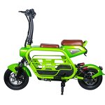 Electric Bicycle Manufacturer - OEM/ODM 350W High-speed Motor Lithium Battery