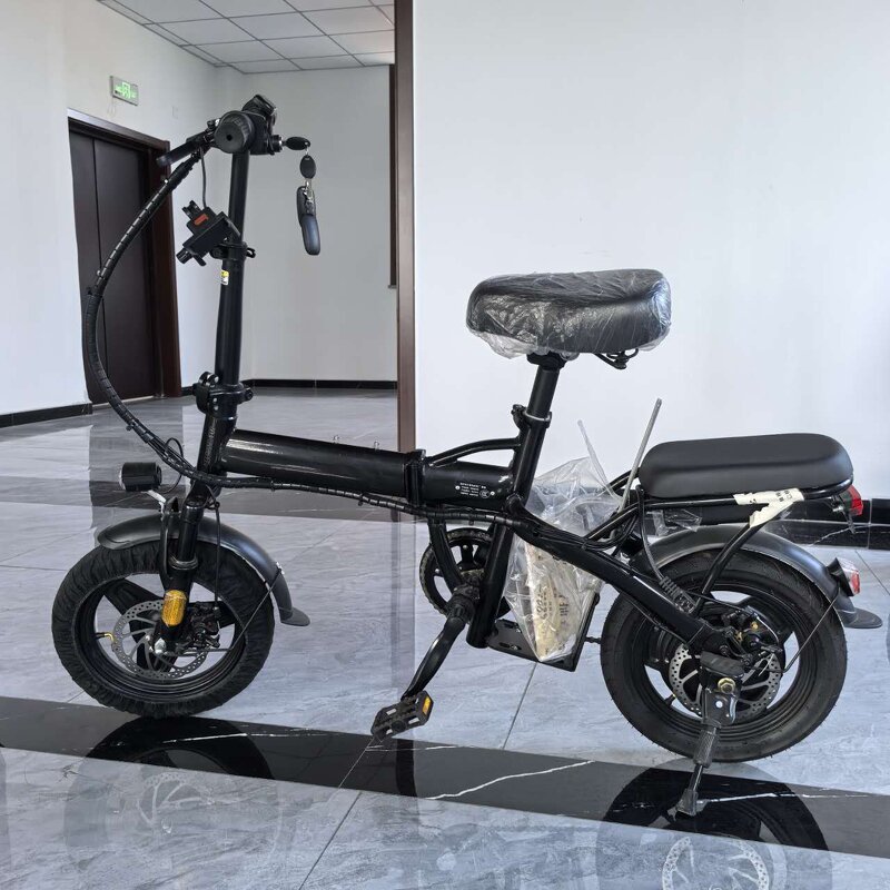 Electric Bike Manufacturer - OEM/ODM Adult Lithium-battery with Higher Quality