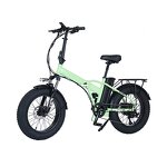 Folding Electric Bicycle Manufacturer - OEM/ODM 20 Inch High Quality China