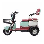 Electric City Bike Manufacturer - OEM/ODM Adults 48V 20Ah 600W Mid Drive
