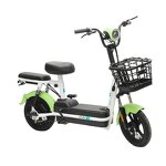 Electric Bicycle Manufacturer - Factory Direct Sales 48V 350W Road Cheap