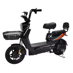 Electric Bicycle Manufacturer - Factory Delivered Efficient 48v Motor