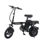 Folding Electric Bike Manufacturer - OEM/ODM Hot Sale Two Seat Portable