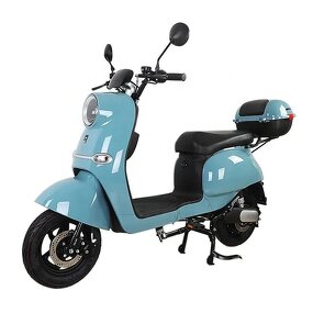 Electric Bicycle Manufacturer - OEM/ODM Hot Sale 500W 2 Seat Adult Moped