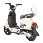 Electric Bicycle Manufacturer - OEM/ODM 2024 Cheap City Leisure Two Wheeled