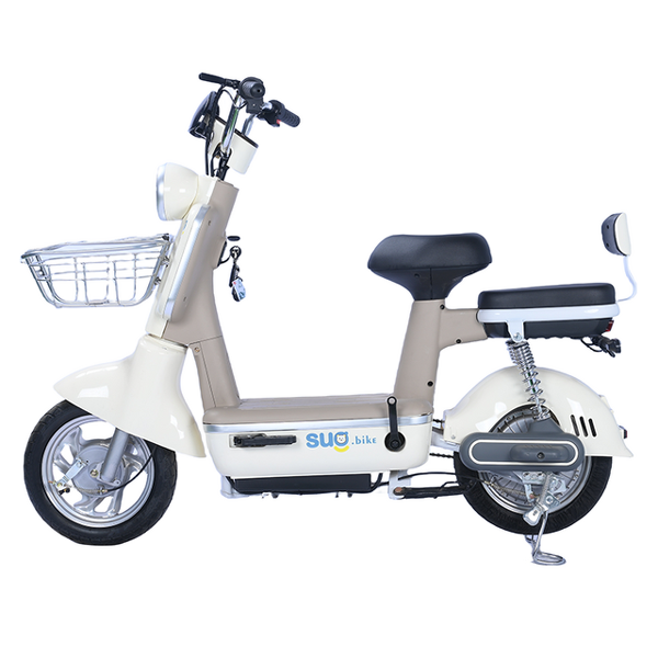 Electric Bike Manufacturer - OEM/ODM 2024 Cheap City Leisure Two Wheeled