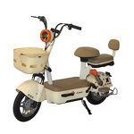 Electric Bike Manufacturer - Factory Price Fashion Two-person 350w48v