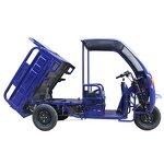 Electric Tricycle Manufacturer - Factory Direct Sale 1000W Cargo Handling