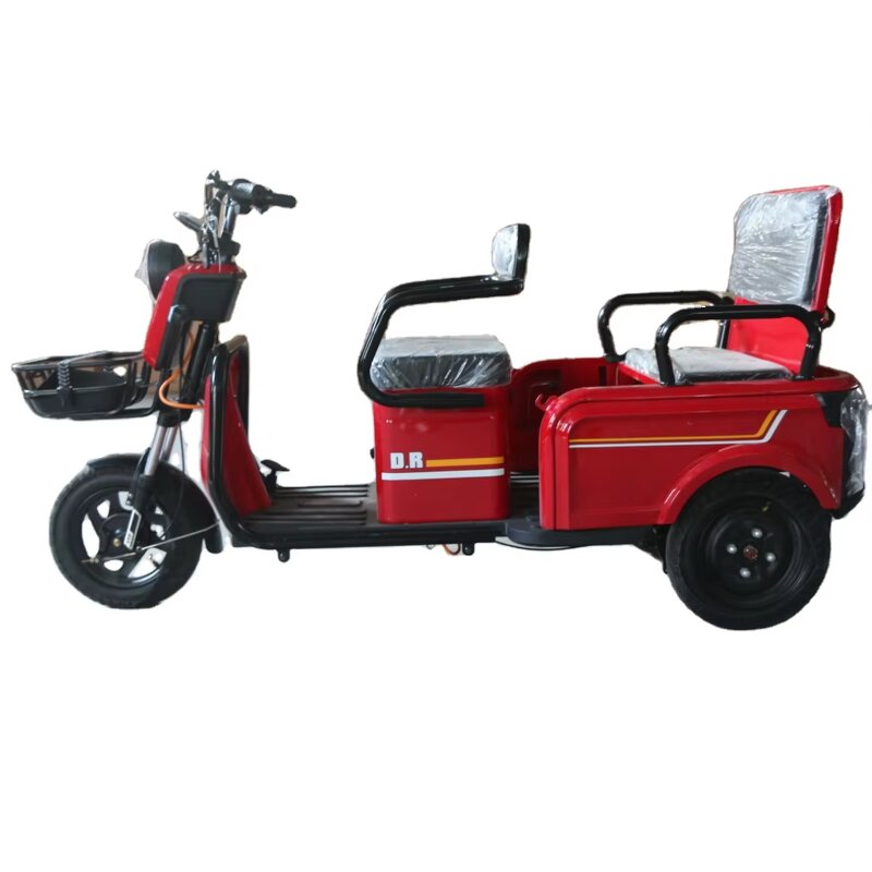 Electric Tricycle Manufacturer - OEM/ODM 48V/60V High Quality 600W Freight