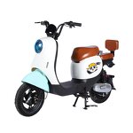 Electric City Bike Manufacturer - OEM/ODM 48V 350W Long Range ODM/OEM Road