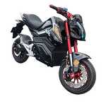 Electric Motorcycle Manufacturer - Factory Direct Sales 1000w Two-wheel