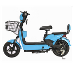 Electric Bicycle Manufacturer - OEM/ODM Classic Electro Motor 45Kmh Cafe