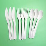 PLA Cutlery Supplier - Bulk Packaged Disposable 7" Fork Spoon Knife Boxed