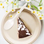 Disposable Fork Supplier - High Quality 17cm Factory-Supplied Cornstarch Cutlery