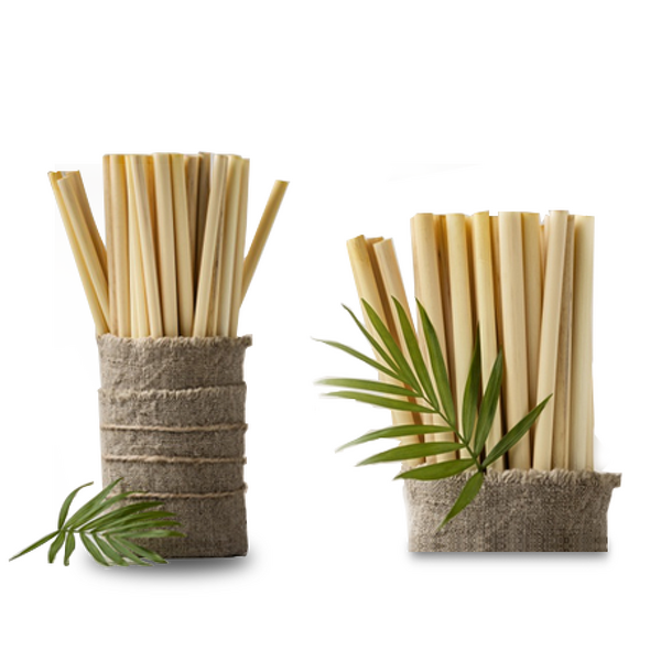 Bamboo Drinking Straw Factory - Wholesale Eco-Friendly 100% Reusable Biodegradable
