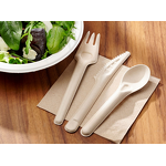 Bagasse Cutlery Supplier - Natural Disposable Lunch Box for Breakfast Lunch Dinner