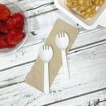 PLA Tableware Set Manufacturer - Custom Biodegradable High Temperature Cake Fork