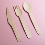 Birch Wood Cutlery Sets Manufacturer - Wholesale Custom 160MM Biodegradable OEM