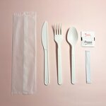 PLA Cutlery Kit Supplier - Heavy Weight Airline Spoon Fork Knife Salt Pepper