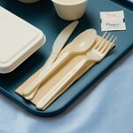 PHA Biodegradable Cutlery Manufacturer - Household and Marine Degradation for Camping