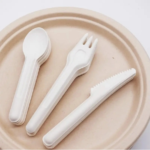 Bagasse Biodegradable Cutlery Supplier - Unbleached 6'' for Camping Knife Fork Spoon
