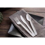 CPLA Cutlery Set Manufacturer - Eco-Friendly Compostable Disposable for Parties