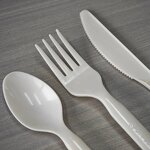 PHA Cutlery Supplier - Wholesale Biodegradable 7inch Marine Degradation Set