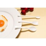 PLA Baking Tableware Supplier - Disposable Mini Eco-Friendly Personalized Custom